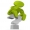 Joe_A_Pyehoo Avatar