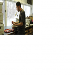 DiggerGallin Profile Picture